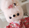 やまとなでしこワンちゃん♪